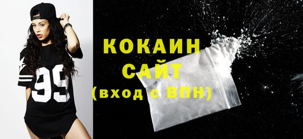 гашик Вязьма