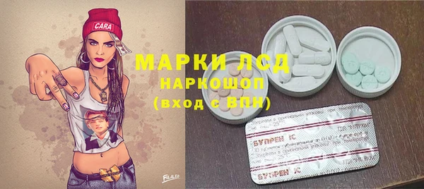 гашик Вязьма