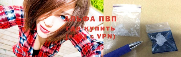 гашик Вязьма