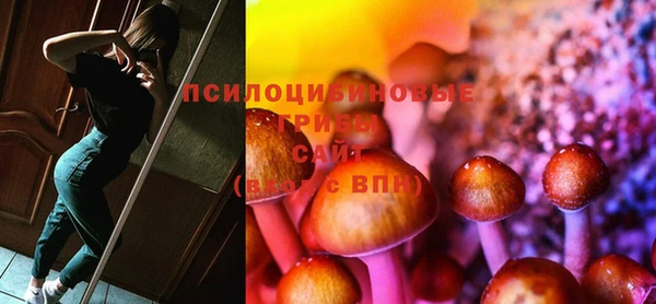 гашик Вязьма