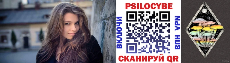 Псилоцибиновые грибы Psilocybine cubensis  Кочубеевское 
